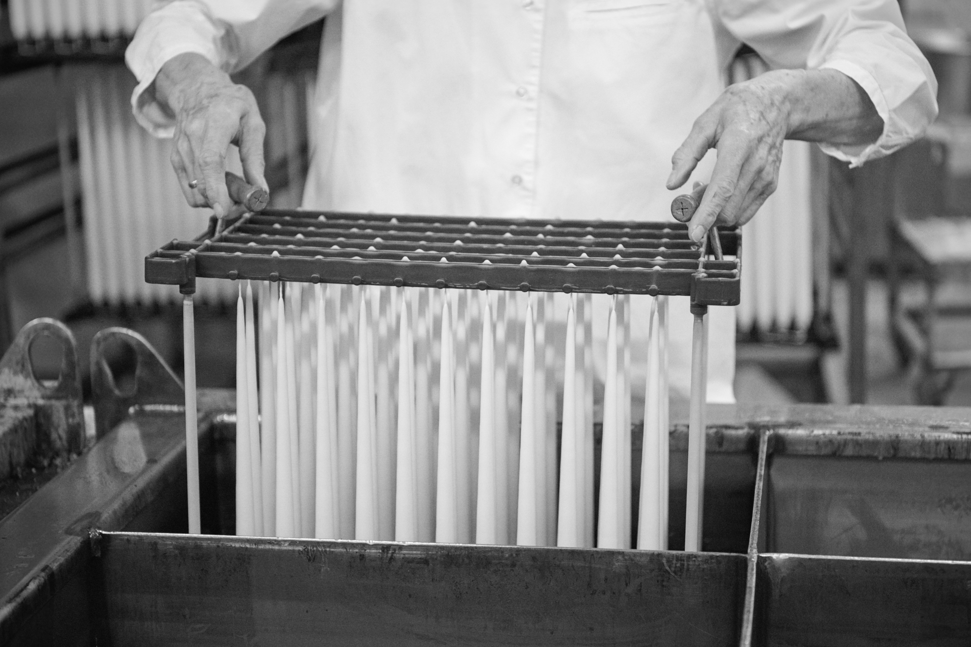 ester & erik The family