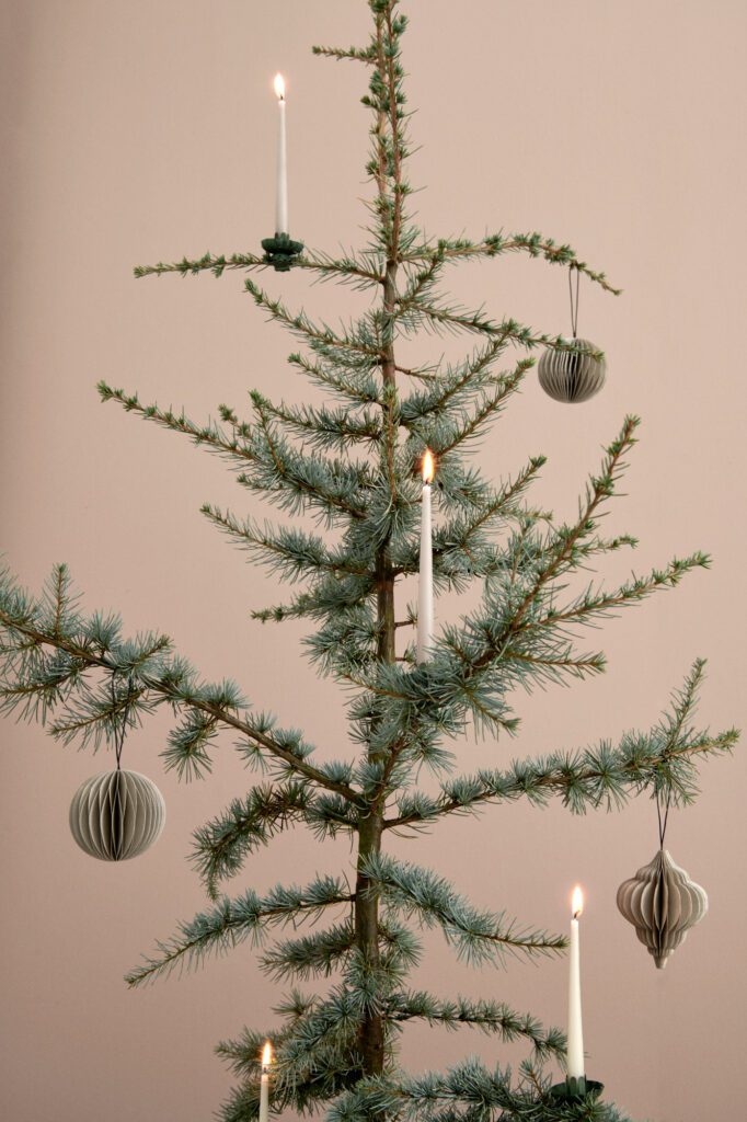 Ester&Erik_513